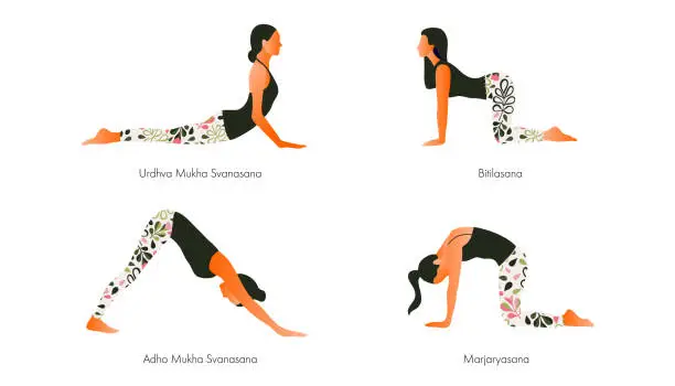 Vector illustration of Women performing yoga asanas.