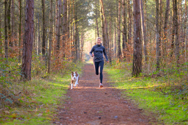 istock Athletic woman enjoying a morning run with a dog 1198560587