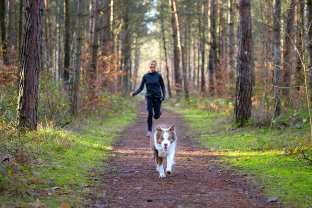 istock Woman jogging in forest with her dog 1198560602