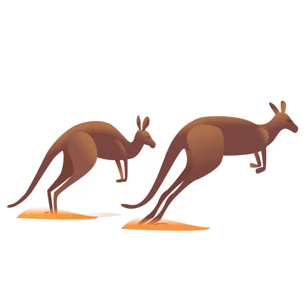 Vector illustration of Kangaroos