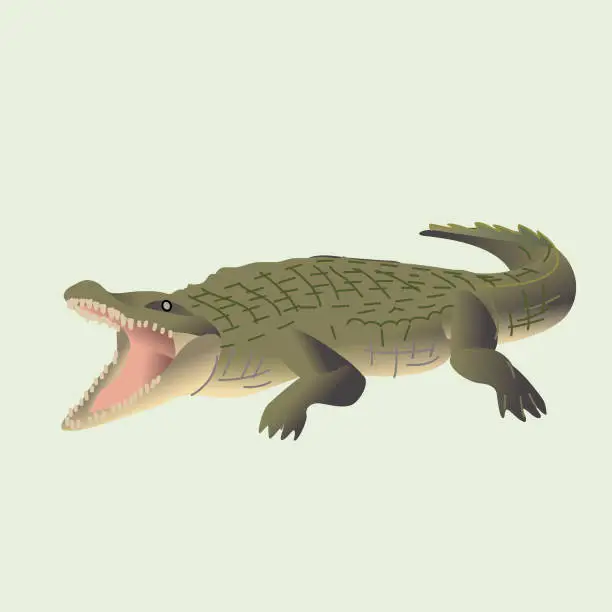 Vector illustration of Croc