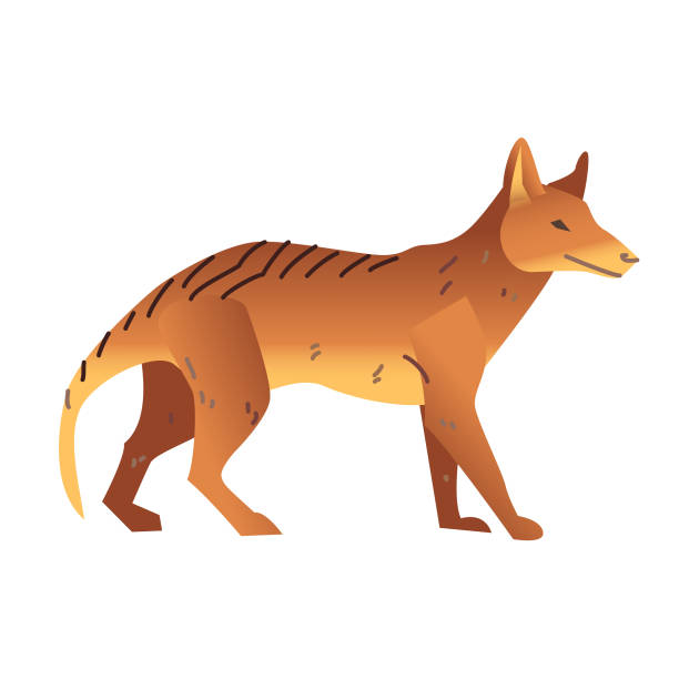 タスマニアンデビル - tasmanian animals点のイラスト素材／クリップアート素材／マンガ素材／アイコン素材
