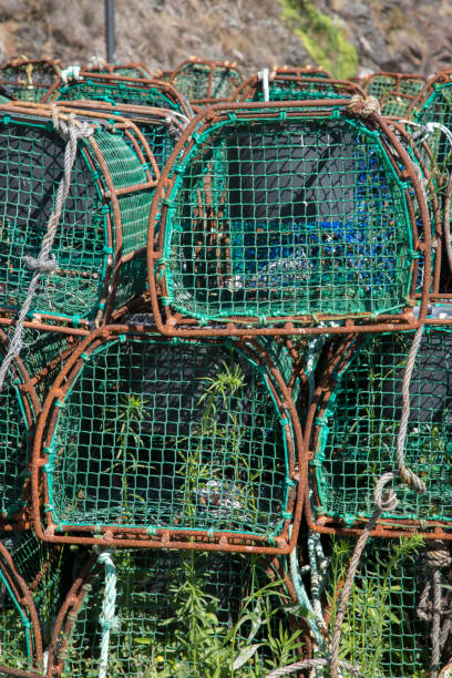 istock Crab Catching Nets, Viavelez; Asturias 1198566829