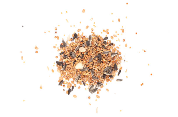 istock Birdfood - Mixed seeds, grain, nuts and corn, isolated 1198568060
