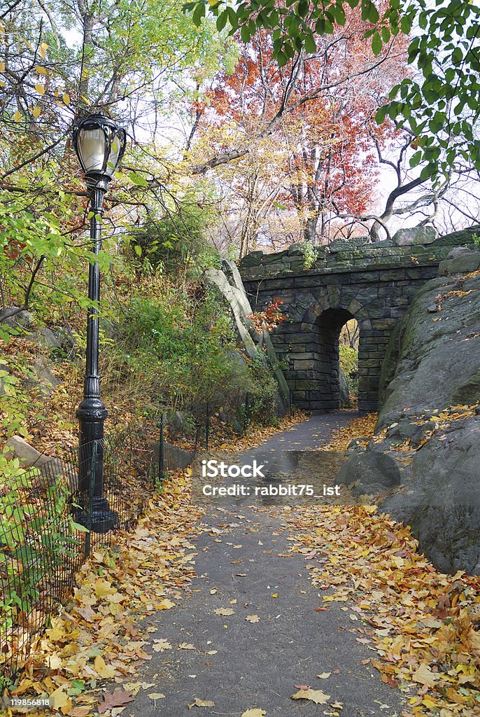New York City Central park Stone bridge  Arch - Architectural Feature Stock Photo