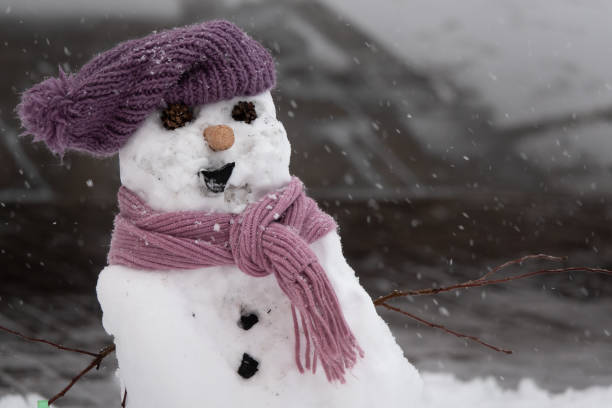 istock Funny snowman in stylish black hat on snowy field. 1198577892