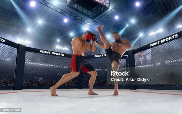 Mma Men Stock Photo - Download Image Now - Mixed Martial Arts, Mixed Martial Arts Event, Combat Sport