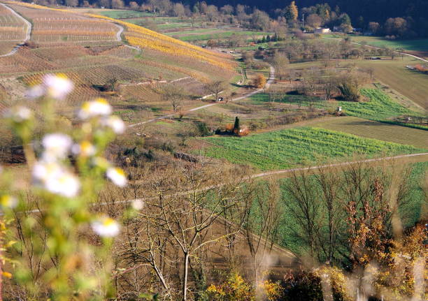 istock View from the vineyard into a river valley with fields, meadows and vines 1198583674
