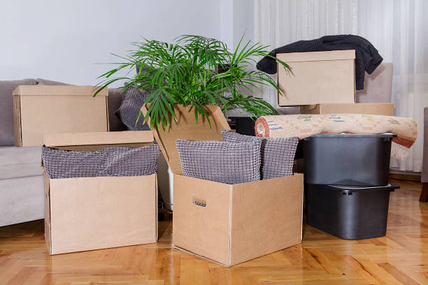 istock Moving boxes in new house. Real estate concept. 1198587091