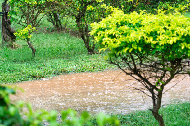 This garden path has completely flooded due to torrential rain.  The tree lined path is impassible due to the extreme weather.  Severe weather is becoming the norm in many places globally due to climate change and the seasons changing.