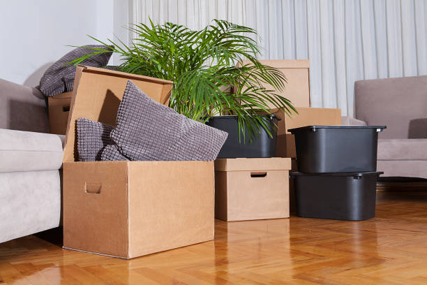 istock Moving boxes in new house. Real estate concept. 1198589039