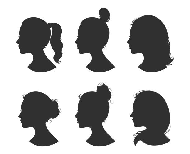schöne sammlung von profil frau heand mit verschiedenen frisuren vektor - ponytail side view women human head stock-grafiken, -clipart, -cartoons und -symbole