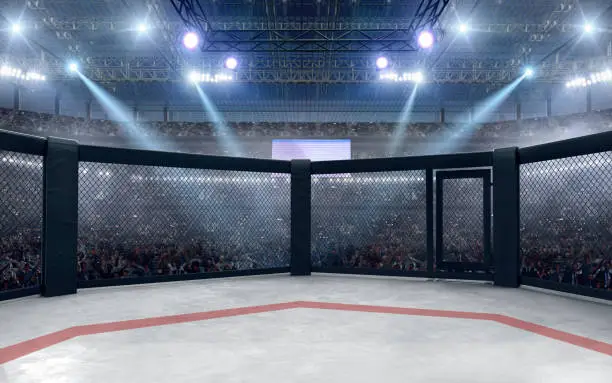 3D render MMA arena. MMA octagon cages.