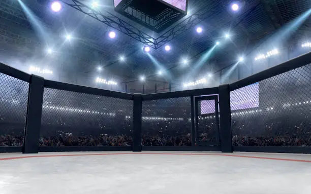 3D render MMA arena. MMA octagon cages.