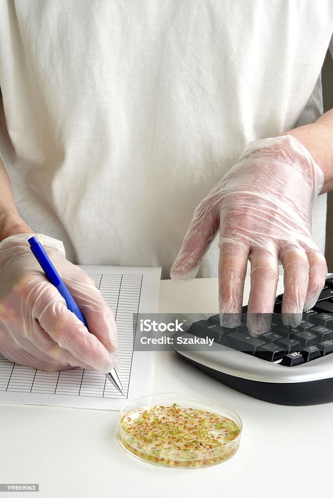 laboratoy con offshoots en una placa de petri - Foto de stock de Color - Tipo de imagen libre de derechos