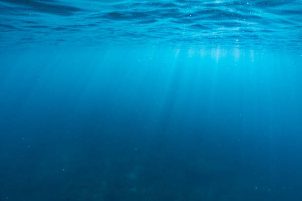 istock Underwater of tropical reef with sea  sun rays passing through water. 1198590841