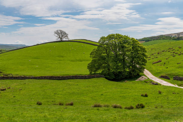 à proximité de horton à ribblesdale, north yorkshire, england - horton in ribblesdale photos et images de collection