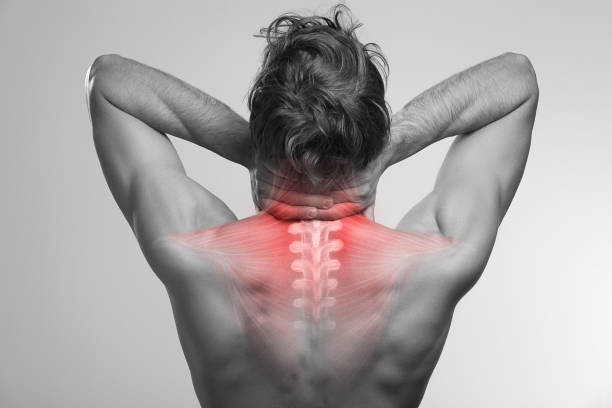 dolor de cuello, parte superior de la columna vertebral, cervical y torácico - espalda partes del cuerpo fotografías e imágenes de stock