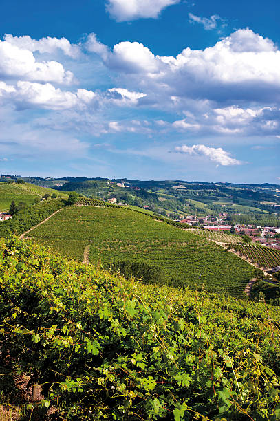 Piedmont Langhe Grinzane Cavour stock photo