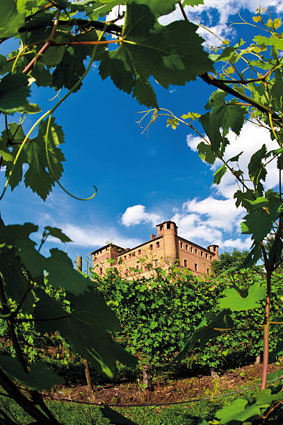 Piedmont Langhe Grinzane Cavour stock photo