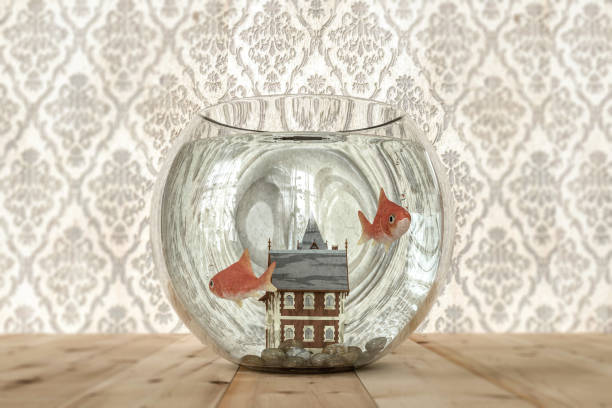 gold fish in a bowl 3d illustration