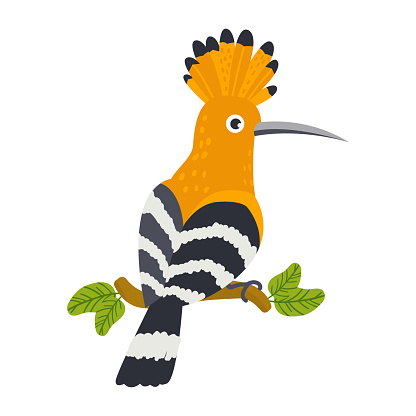 Vector cute African animal. Hoopoe. Funny character for kids.