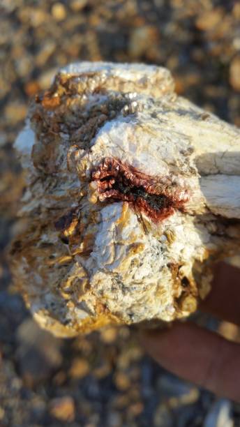 istock Limestone with volcanic rock industry 1198597243