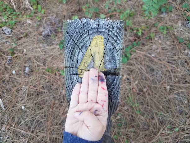 istock child hand on wood post with number four 1198597297