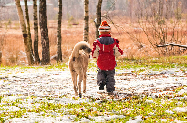 erste schnee. kleiner junge mit seinem hund zu fuß. - dog walking child little boys stock-fotos und bilder