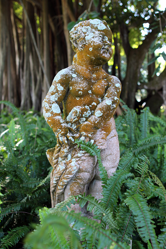 Antique baby angel statue in a garden with blurred background