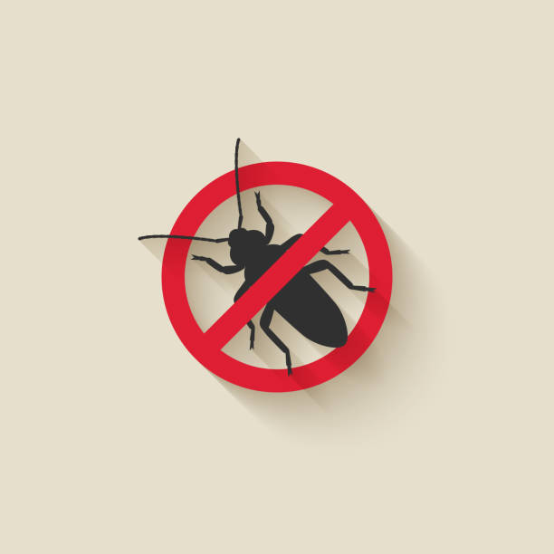 Old House Borer silhouette. Pest icon stop sign Old House Borer silhouette. Pest icon stop sign. Vector illustration longhorn beetle stock illustrations