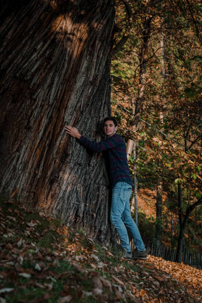 istock Guy hugs a very big and old chestnut tree by sunrise 1198605446
