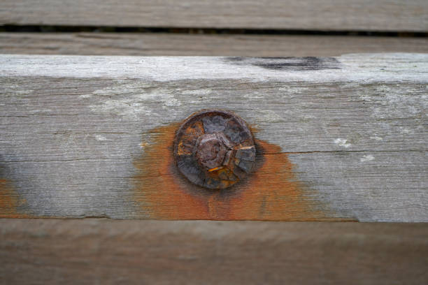 istock Rusty old bolts in wood 1198606069