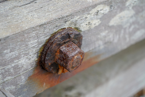 Rusty old bolts in wood