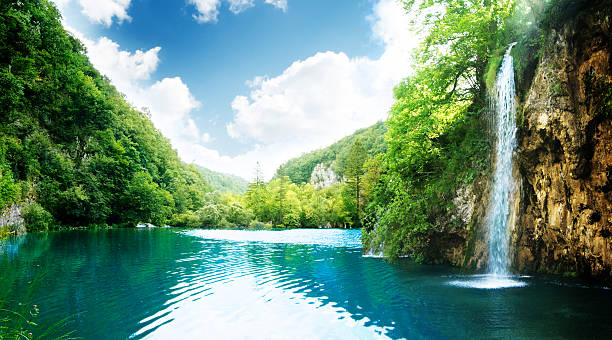 cachoeira na floresta profunda - plitvice lakes national park water lake national park - fotografias e filmes do acervo