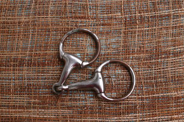 istock Lever Snaffle when controlling horse measuring with two rings equipment for horses, old on foot side view 1198610727