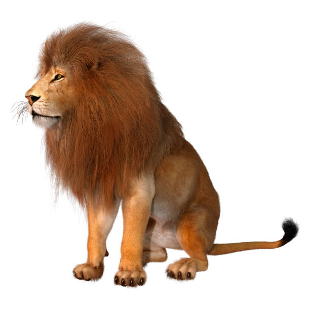 istock 3D illustration male lion on white 1198613297