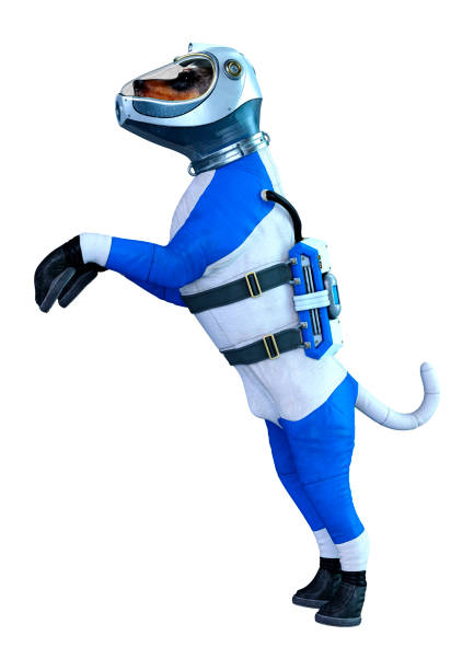 istock 3D illustration astronaut dog on white 1198613575