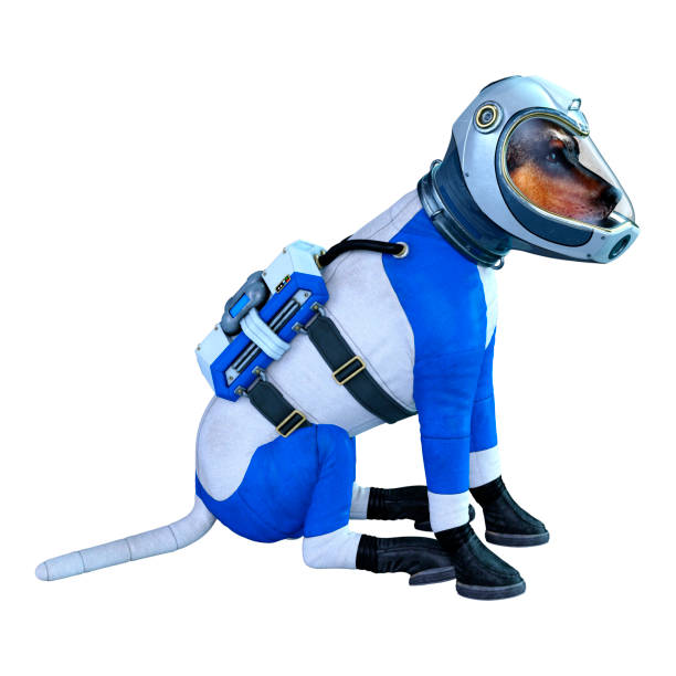 istock 3D illustration astronaut dog on white 1198613692