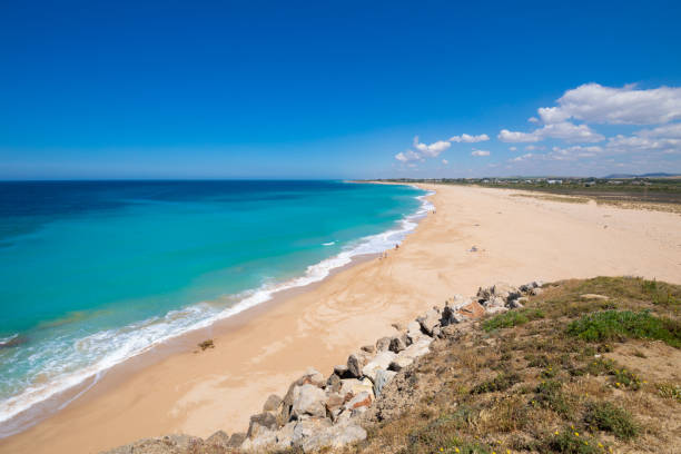 istock Beach of Trafalgar lighthouse or Cala Isabel 1198614079