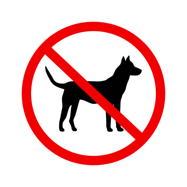 No dogs sign vector icon in flat style No dogs sign vector icon in flat style on white background animal stage stock illustrations