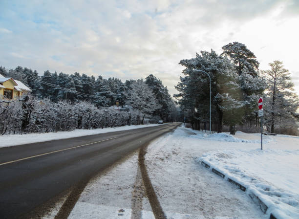 istock First snow. Trees brought by snow in Jurmala, Latvia 2018. 1198620555