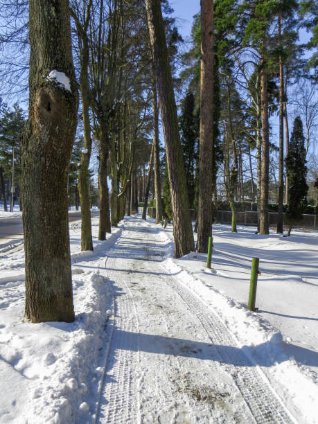 снегоуборостояя дорога в юрмале, на берегу рижского залива, зимой 2018 года. - winterroad стоковые фото и изображения