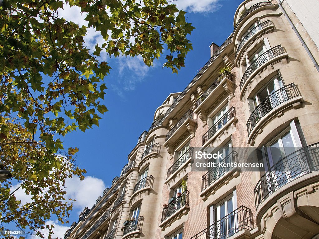 Appartamento parigino con albero - Foto stock royalty-free di Ambientazione esterna