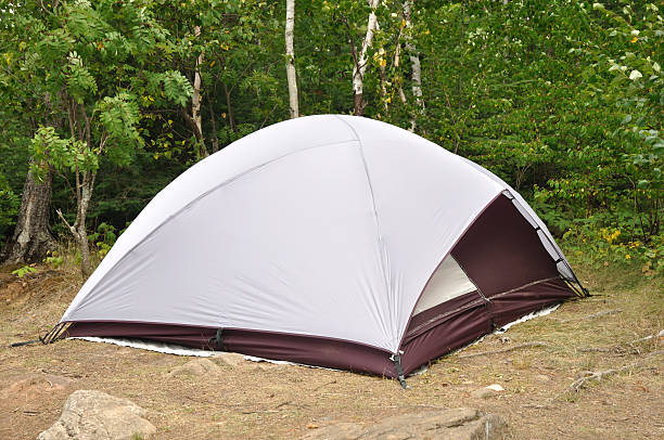 istock Tent at Campsite in the Wilderness 119862329
