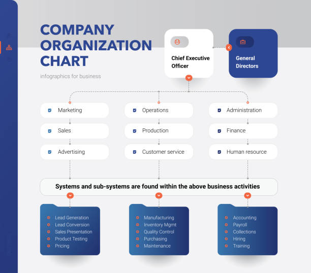 Company Organization Chart. Structure of the company. Business hierarchy organogram chart infographics. Corporate organizational structure graphic elements. Company Organization Chart. Structure of the company. Business hierarchy organogram chart infographics. Corporate organizational structure graphic elements. flowchart infographics stock illustrations