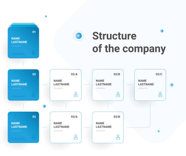 illustrations, cliparts, dessins animés et icônes de structure de l'entreprise. infographie des organogrammes de la hiérarchie d'affaires. éléments graphiques de la structure organisationnelle de l'entreprise. - flow chart ideas organization chart chart