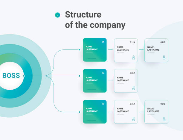 struktur des unternehmens. organogrammdiagramm-infografiken für die unternehmenshierarchie. grafische elemente der unternehmensorganisationsstruktur. - business form stock-grafiken, -clipart, -cartoons und -symbole