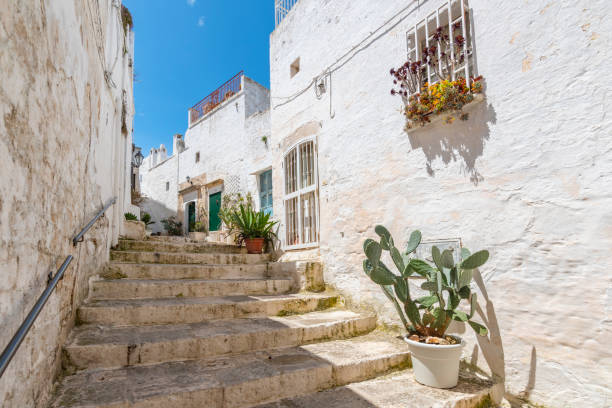 Cacti on the steps, picturesque narrow street with traditional white washed houses in the old historic center in Ostuni, Puglia, Italy. stock photo