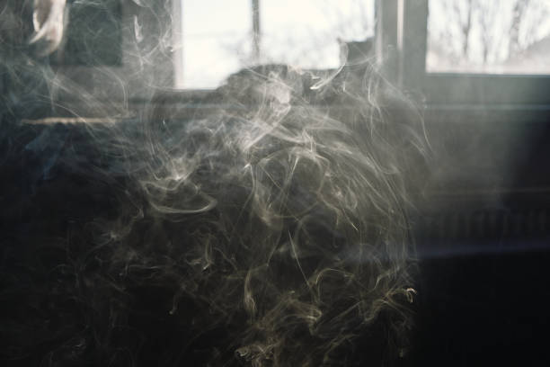 고양이가 창틀에 앉아있는 아침에 흡연 - wispy smoke steam swirl 뉴스 사진 이미지